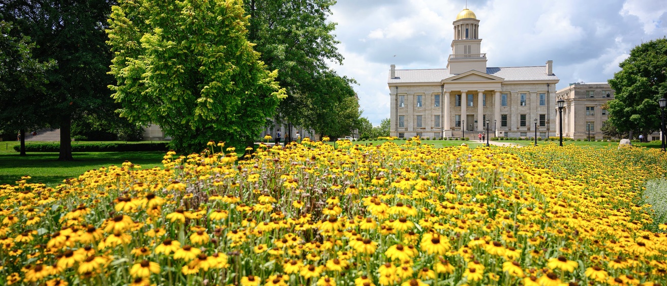 Old capitol building at Iowa surrounded by daffodils