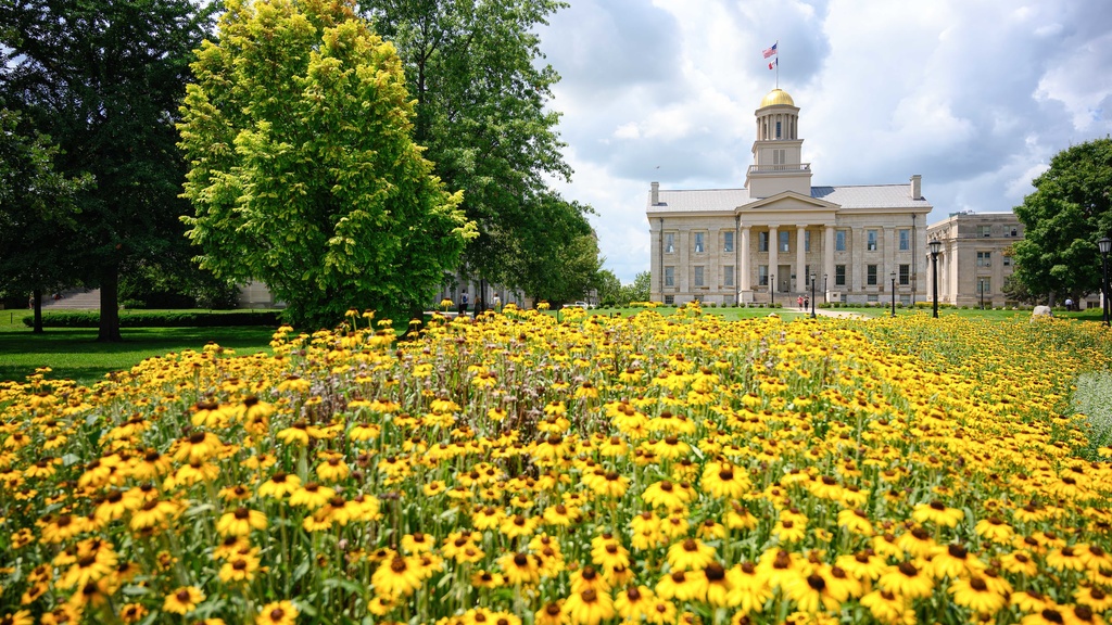 Old capitol building at Iowa surrounded by daffodils