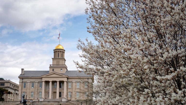 UIowa campus in spring